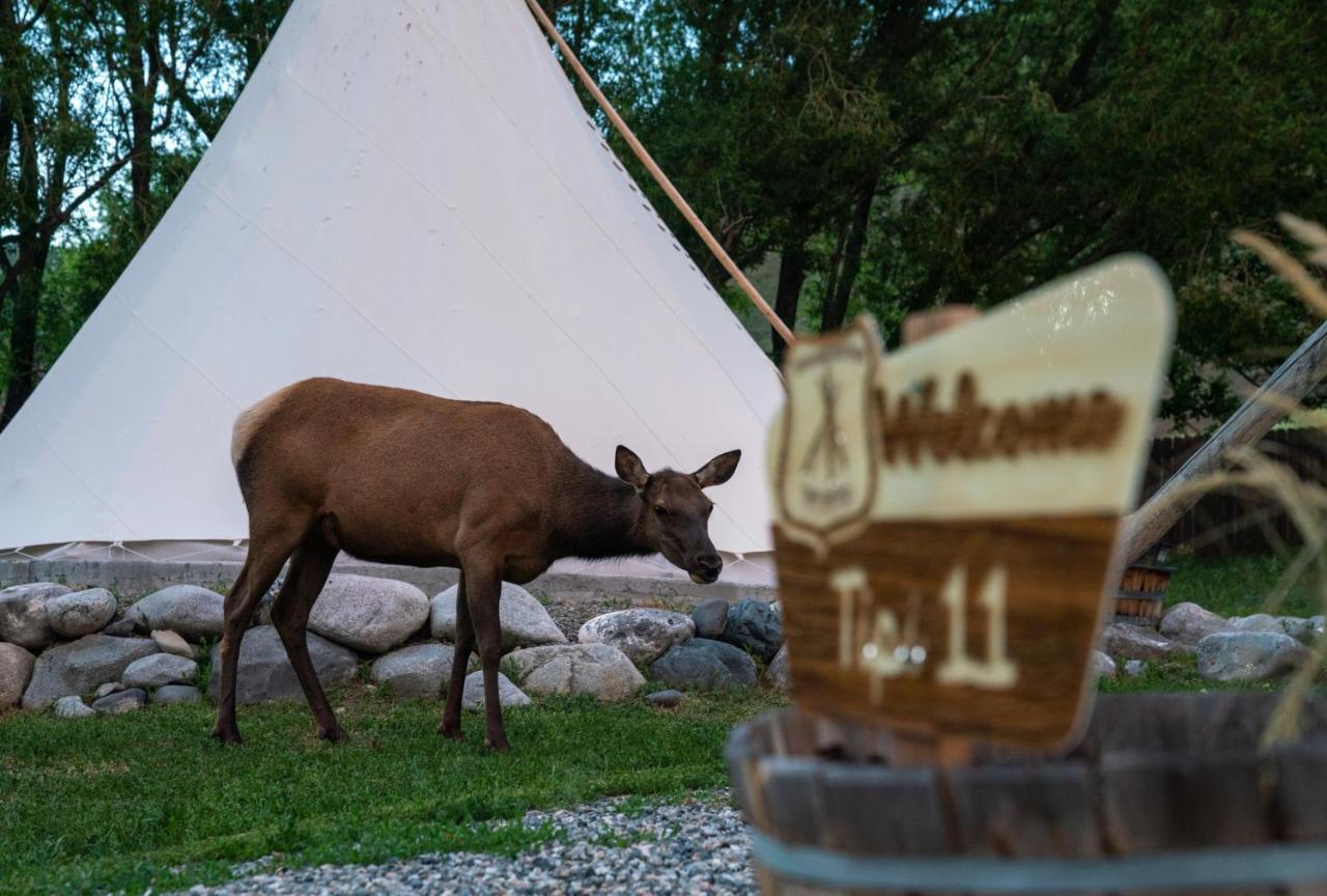 Dreamcatcher Tipi Hotel Gardiner Luaran gambar
