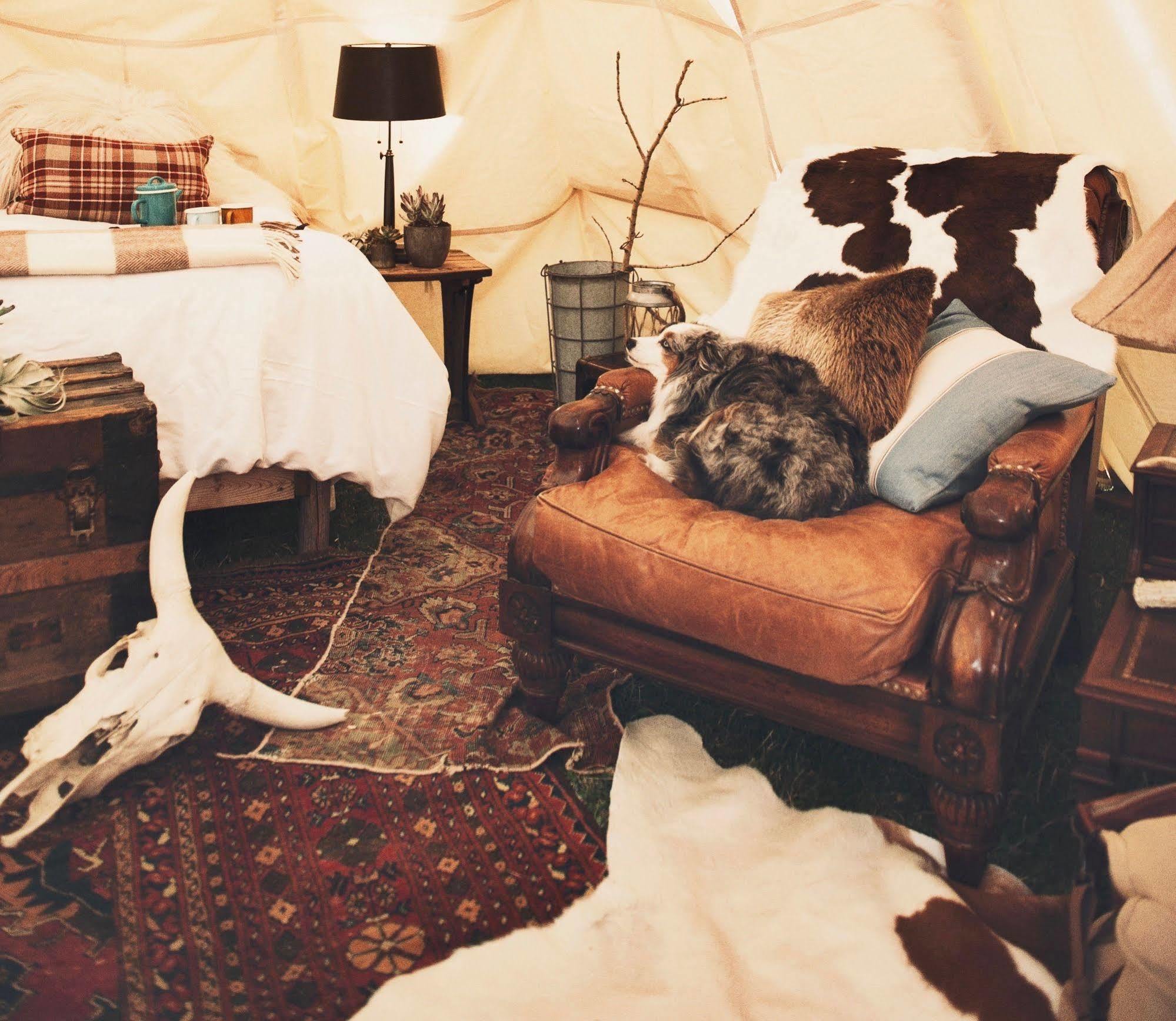 Dreamcatcher Tipi Hotel Gardiner Luaran gambar